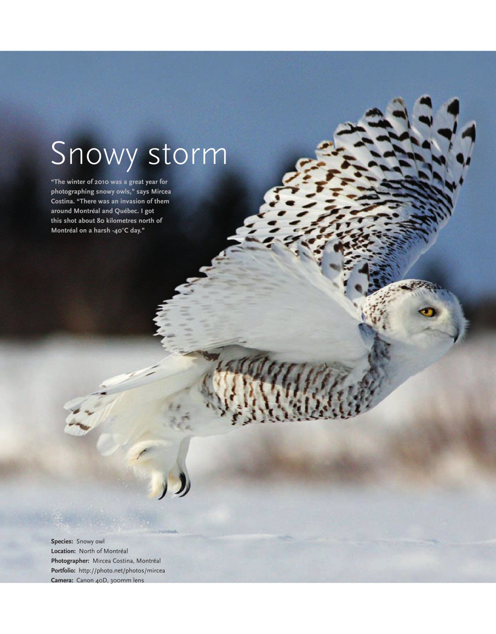 Canadian Geographic Preview Pages