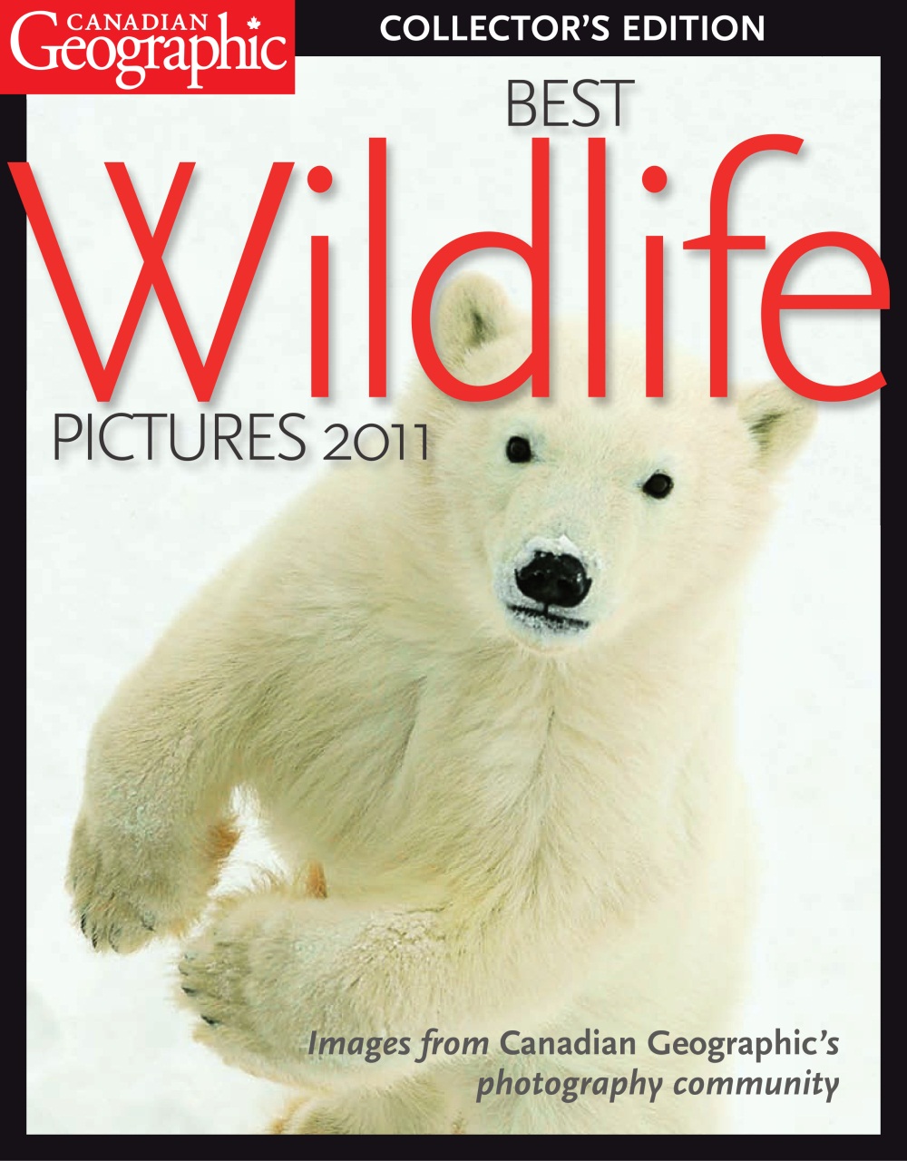 Canadian Geographic Preview Pages