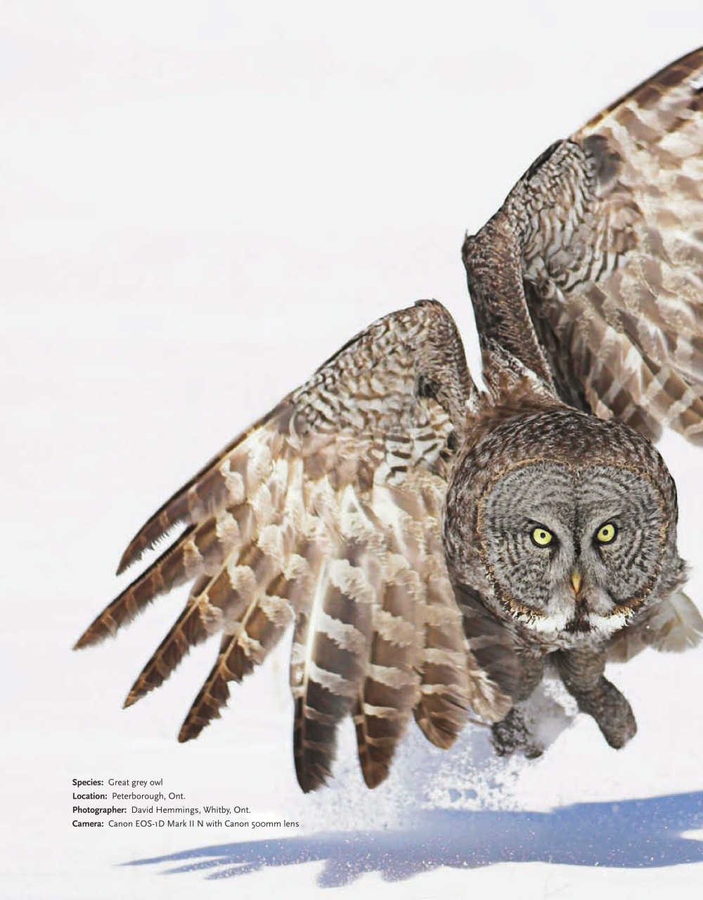 Canadian Geographic Preview Pages