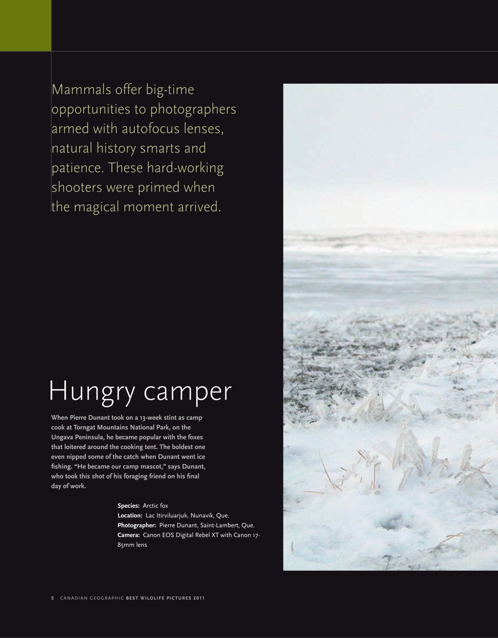 Canadian Geographic Preview Pages