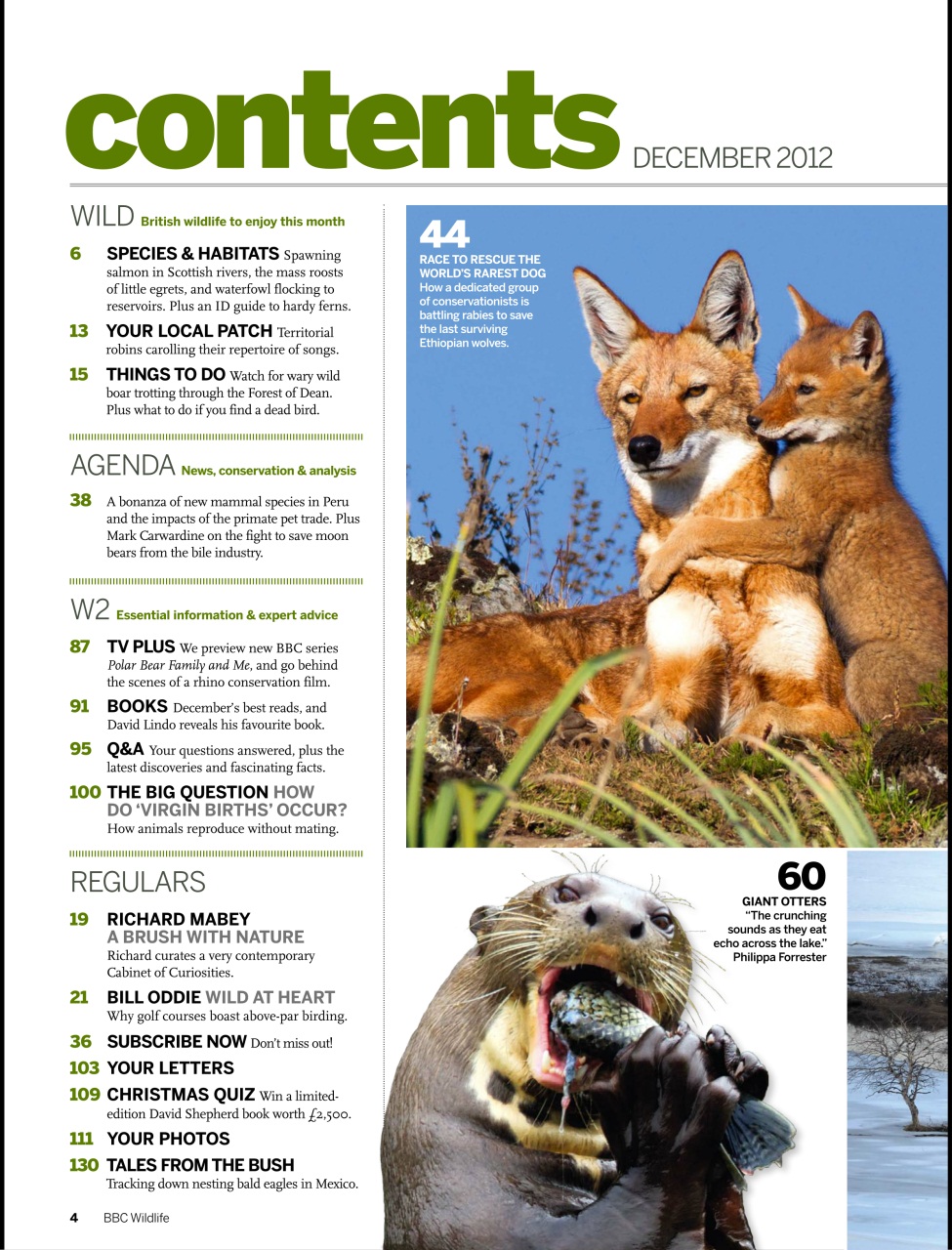BBC Wildlife Magazine Preview Pages