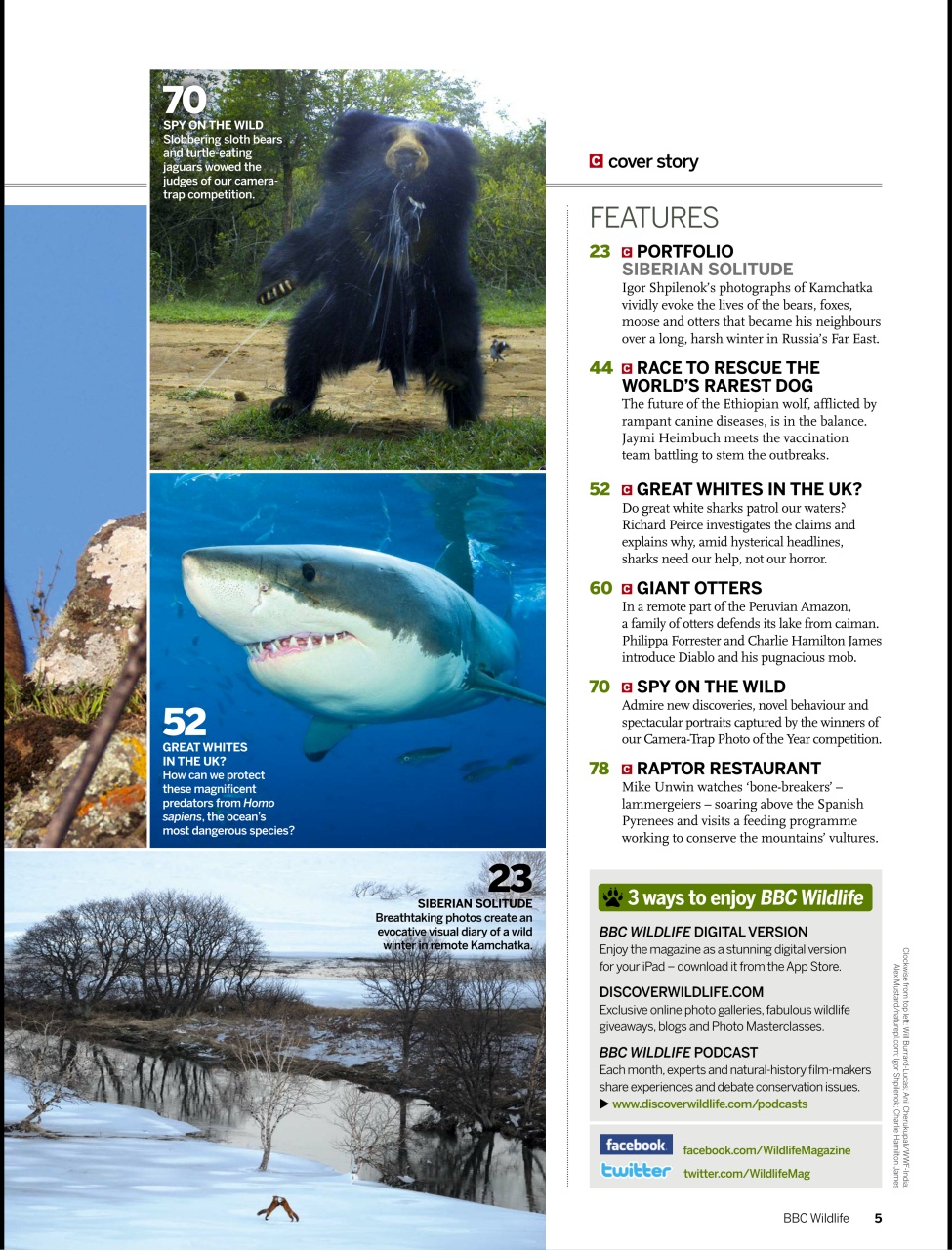 BBC Wildlife Magazine Preview Pages