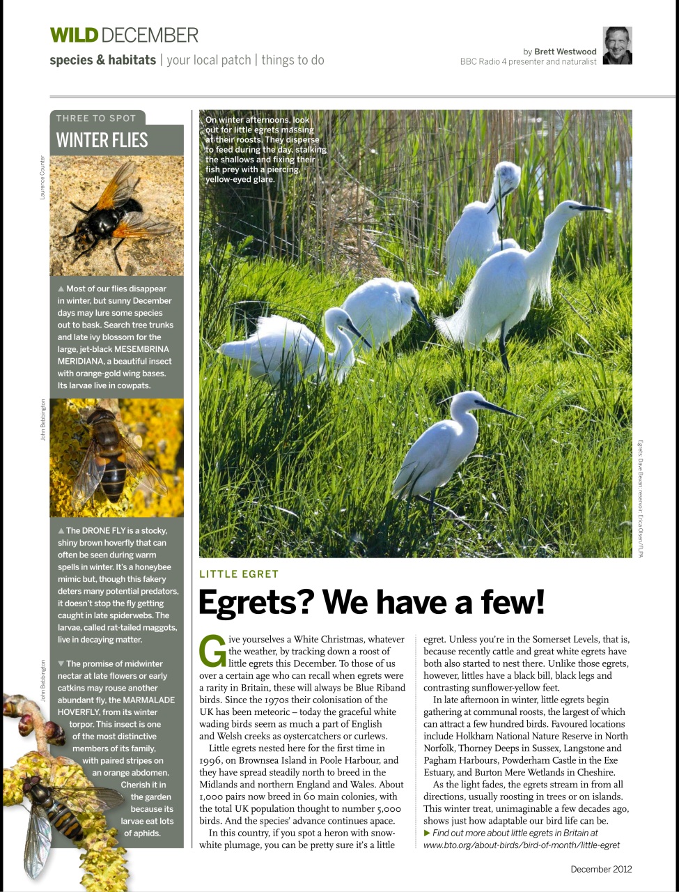 BBC Wildlife Magazine Preview Pages