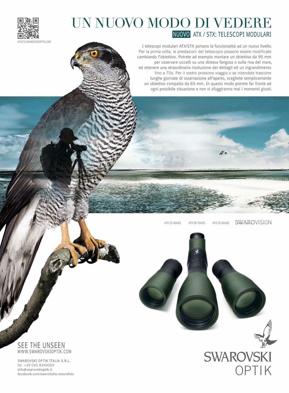 Armi E Tiro Preview Pages