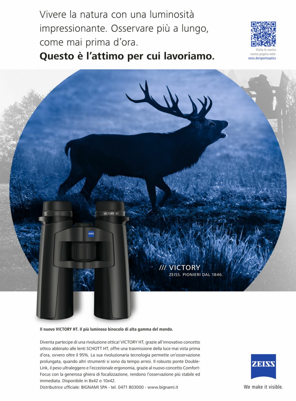 Armi E Tiro Preview Pages