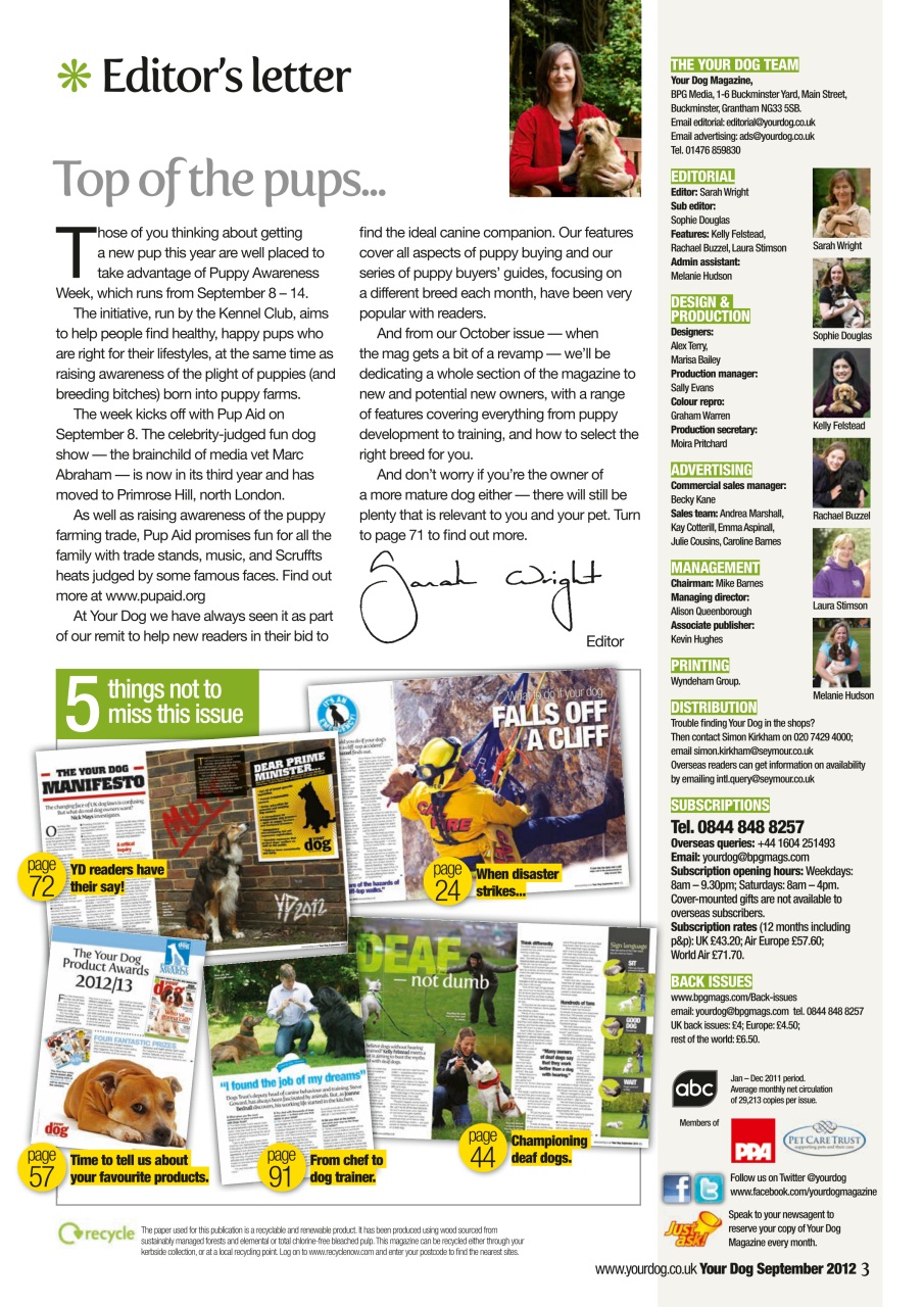 Your Dog Preview Pages