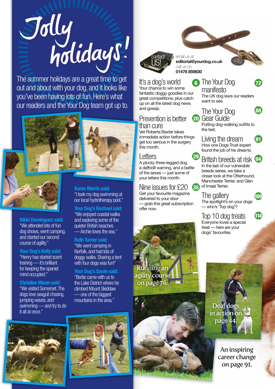 Your Dog Preview Pages