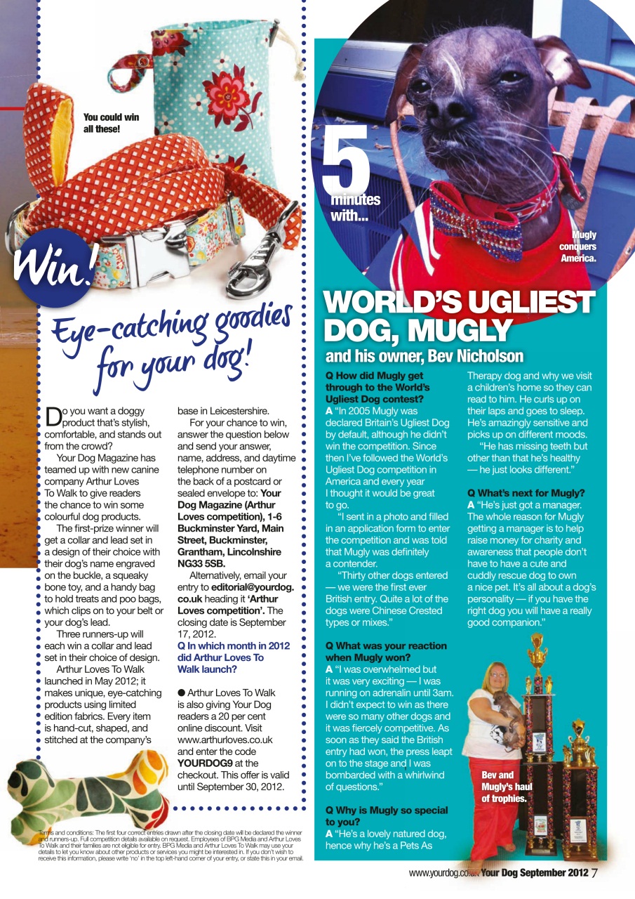 Your Dog Preview Pages