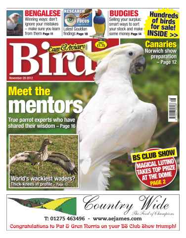 Cage & Aviary Birds issue Cage & Aviary 28 November 2012