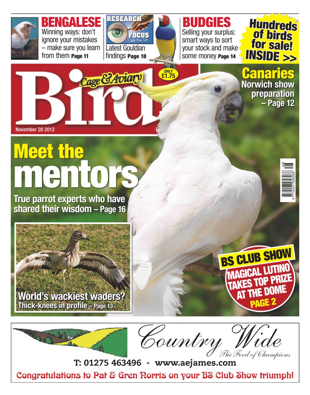 Cage & Aviary Birds Preview Pages