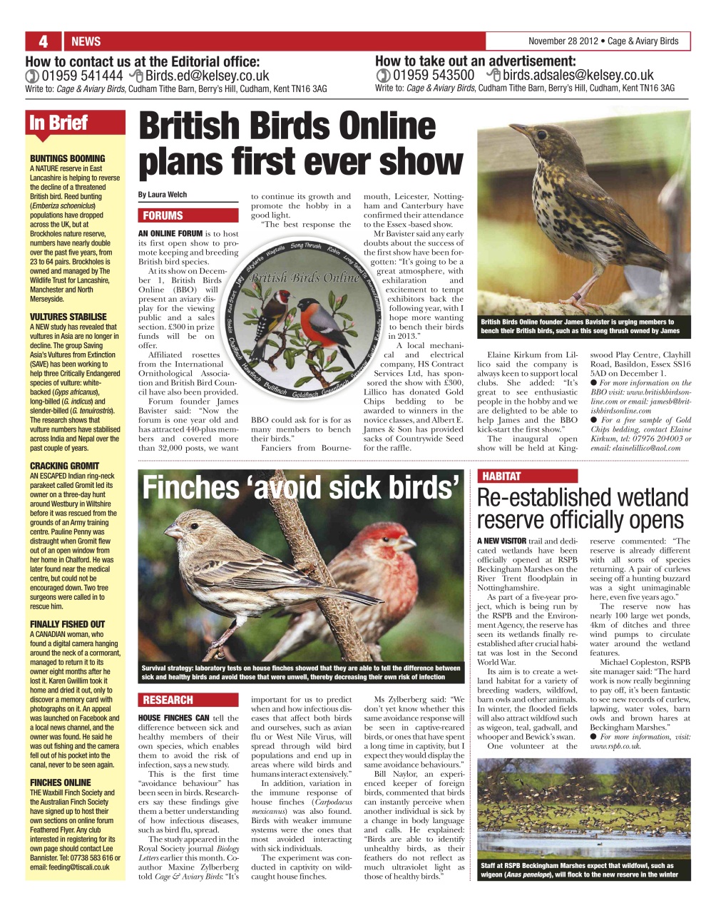 Cage & Aviary Birds Preview Pages