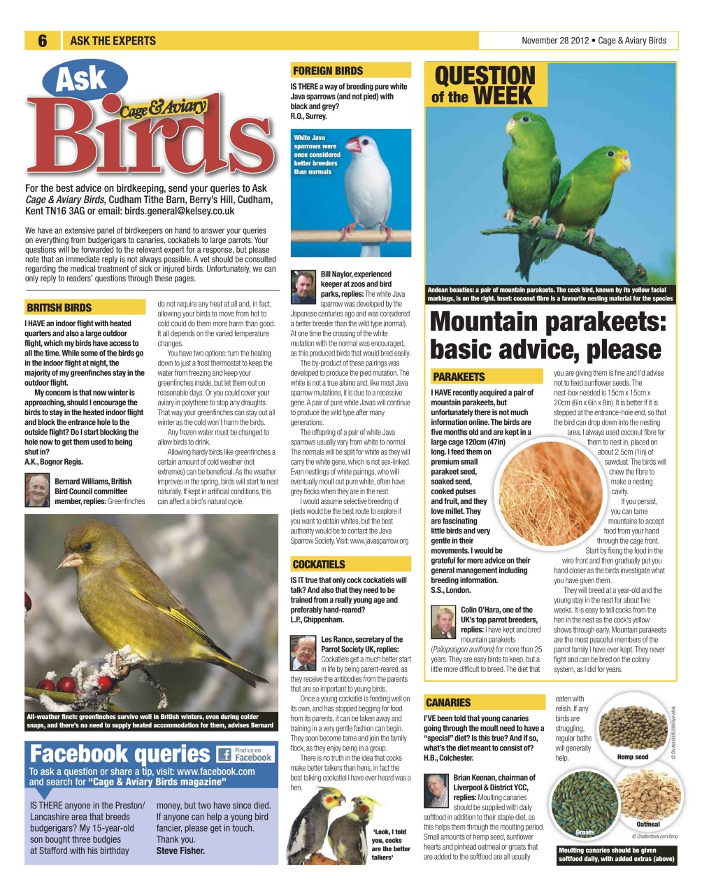 Cage & Aviary Birds Preview Pages