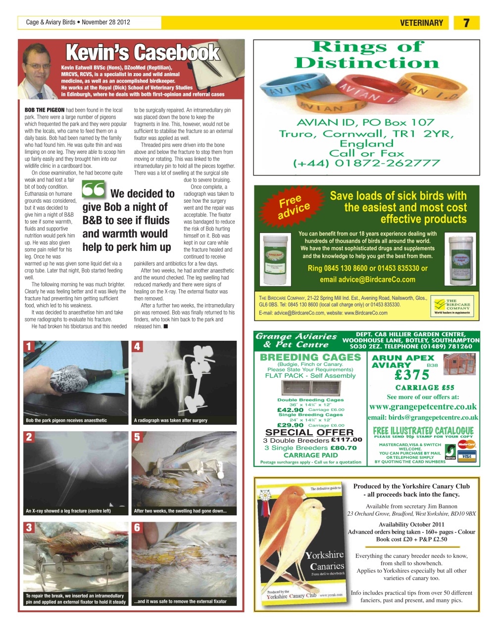 Cage & Aviary Birds Preview Pages