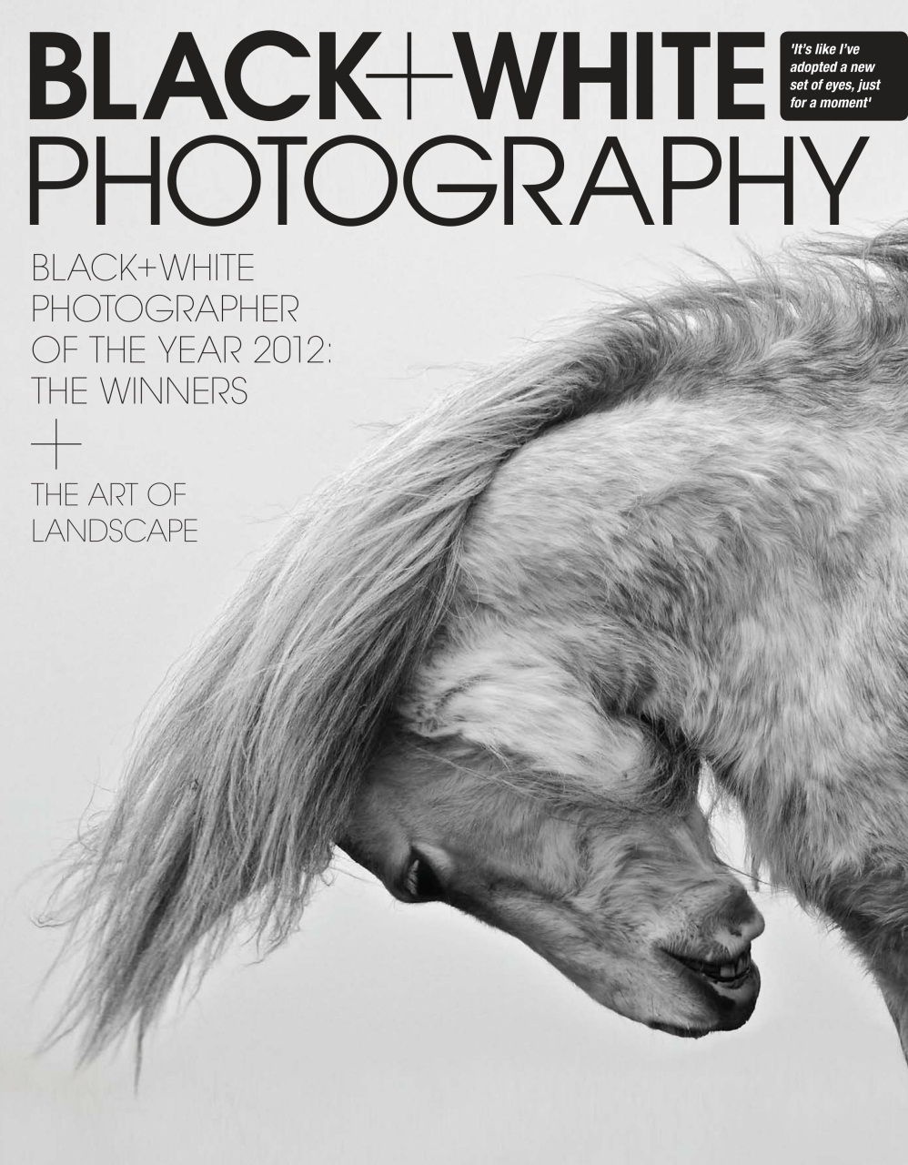 Black+White Photography Preview Pages