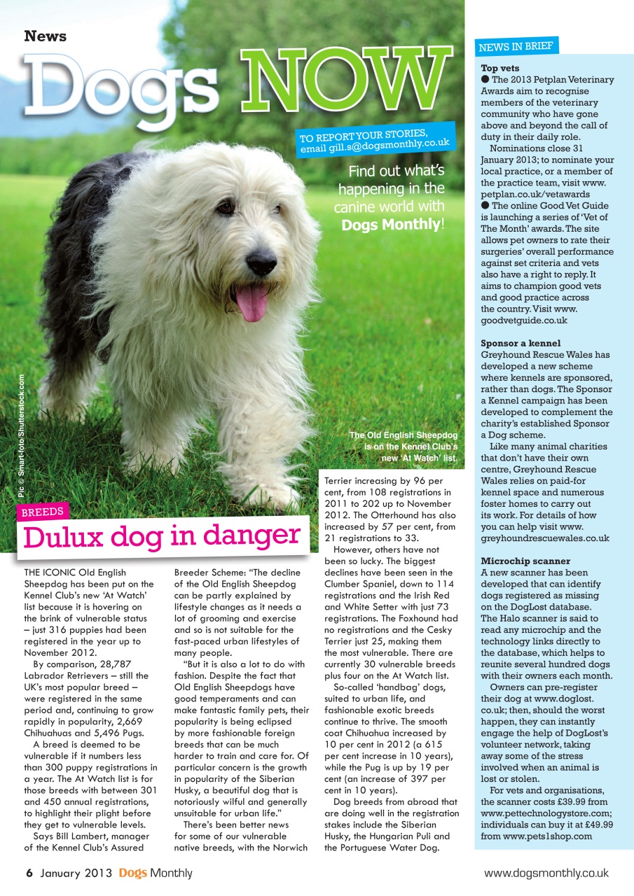 Dogs Monthly Preview Pages