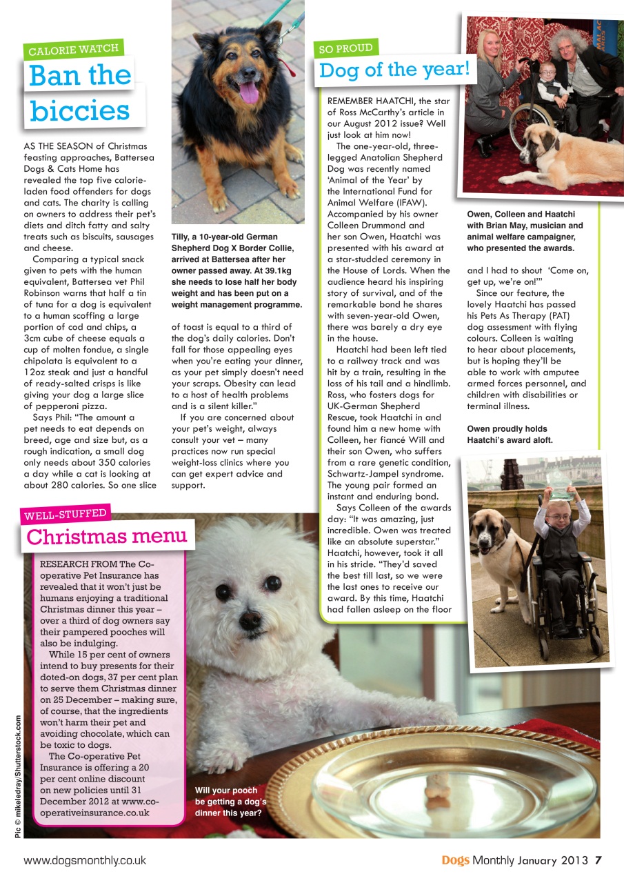 Dogs Monthly Preview Pages