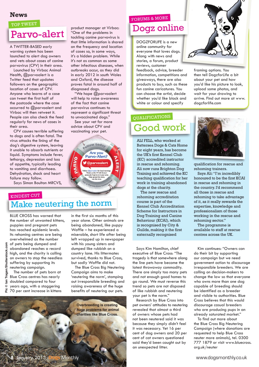 Dogs Monthly Preview Pages