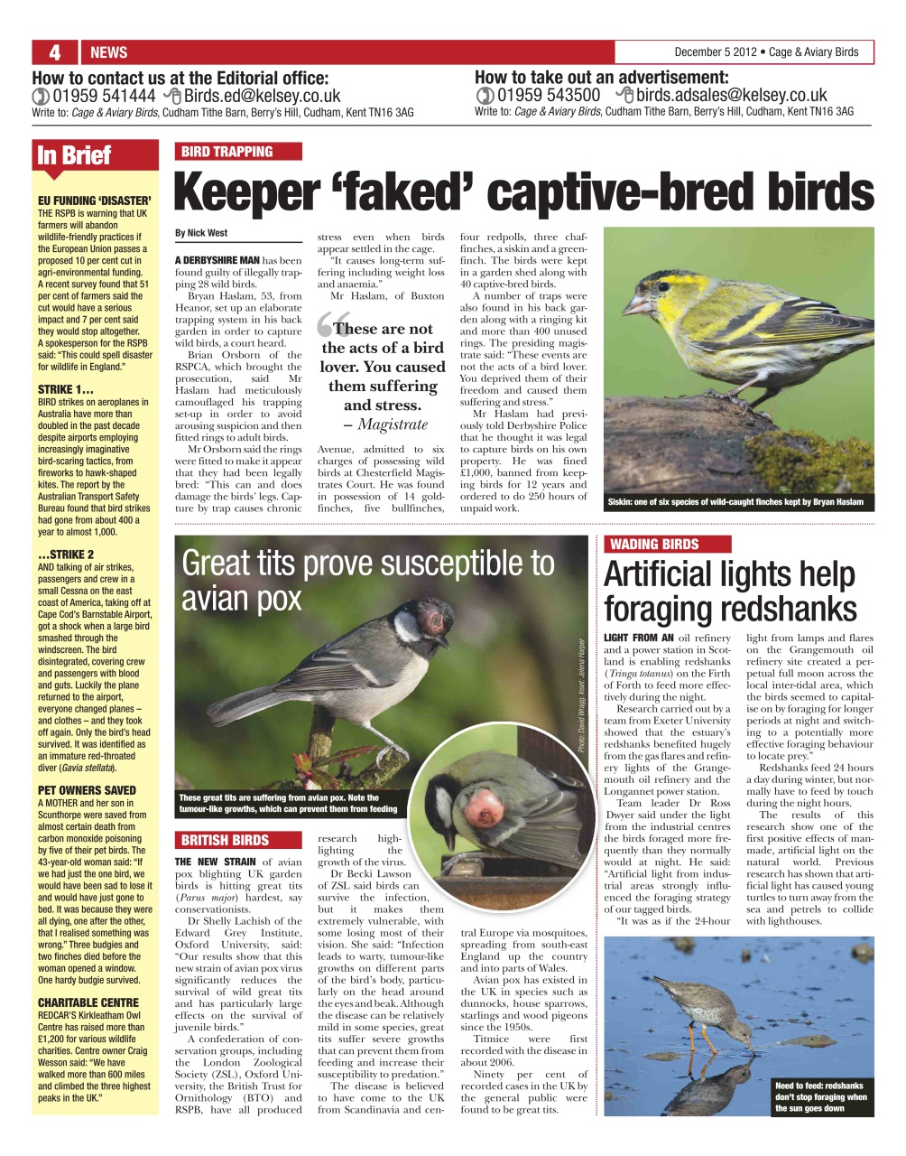 Cage & Aviary Birds Preview Pages