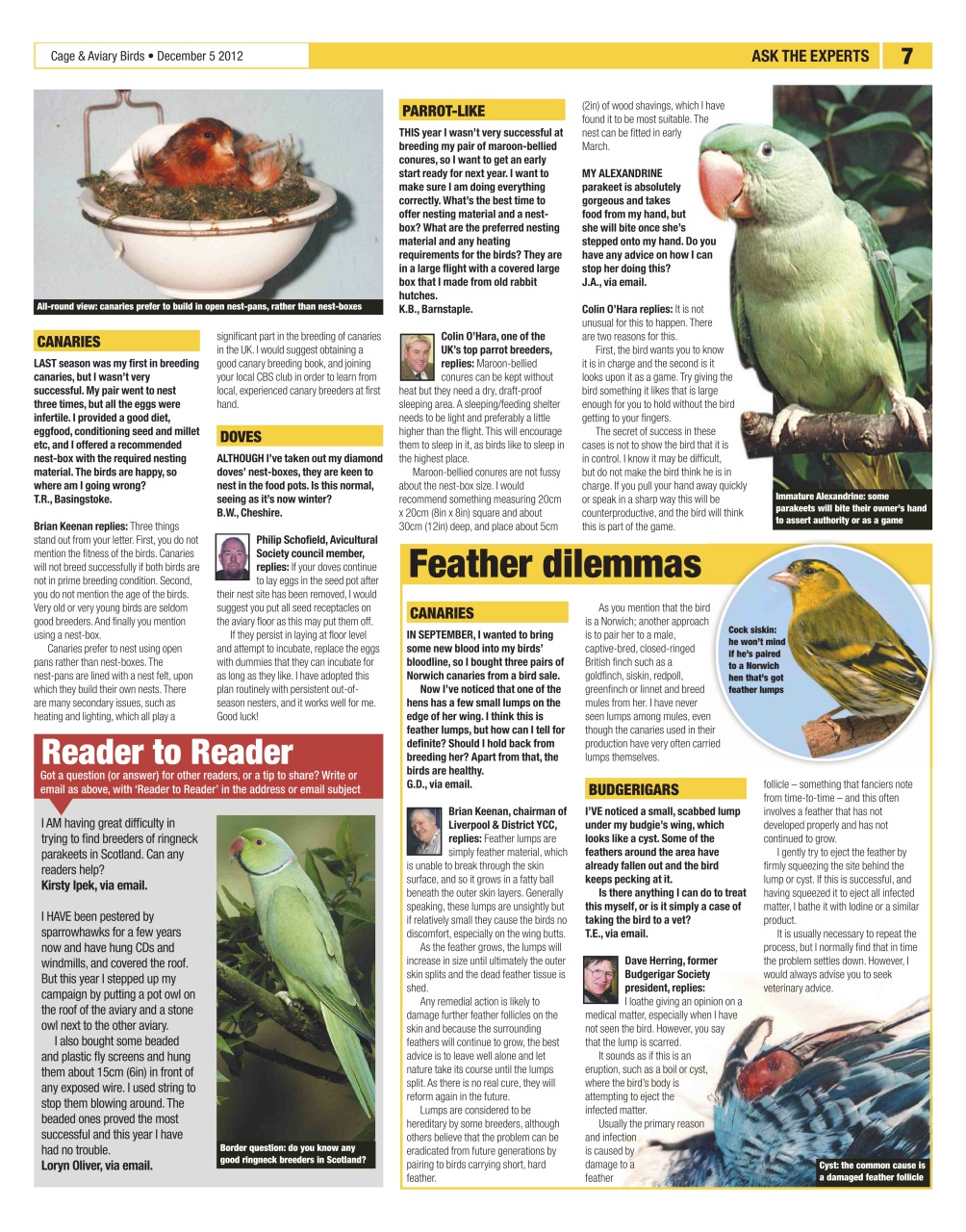 Cage & Aviary Birds Preview Pages