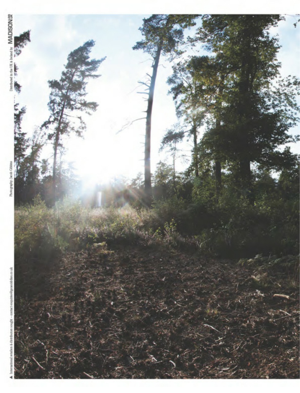 Singletrack Preview Pages