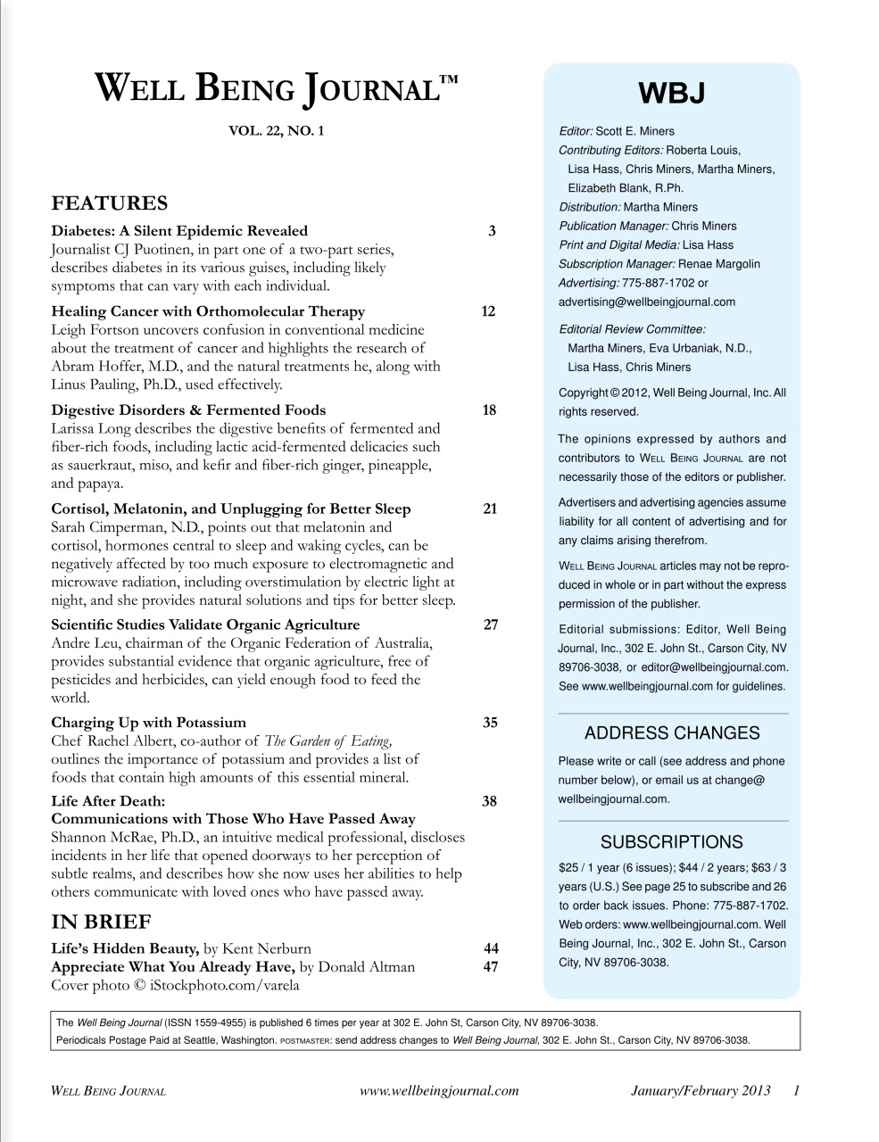 Well Being Journal Preview Pages