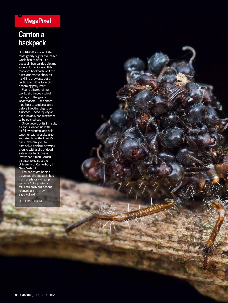 BBC Science Focus Magazine Preview Pages