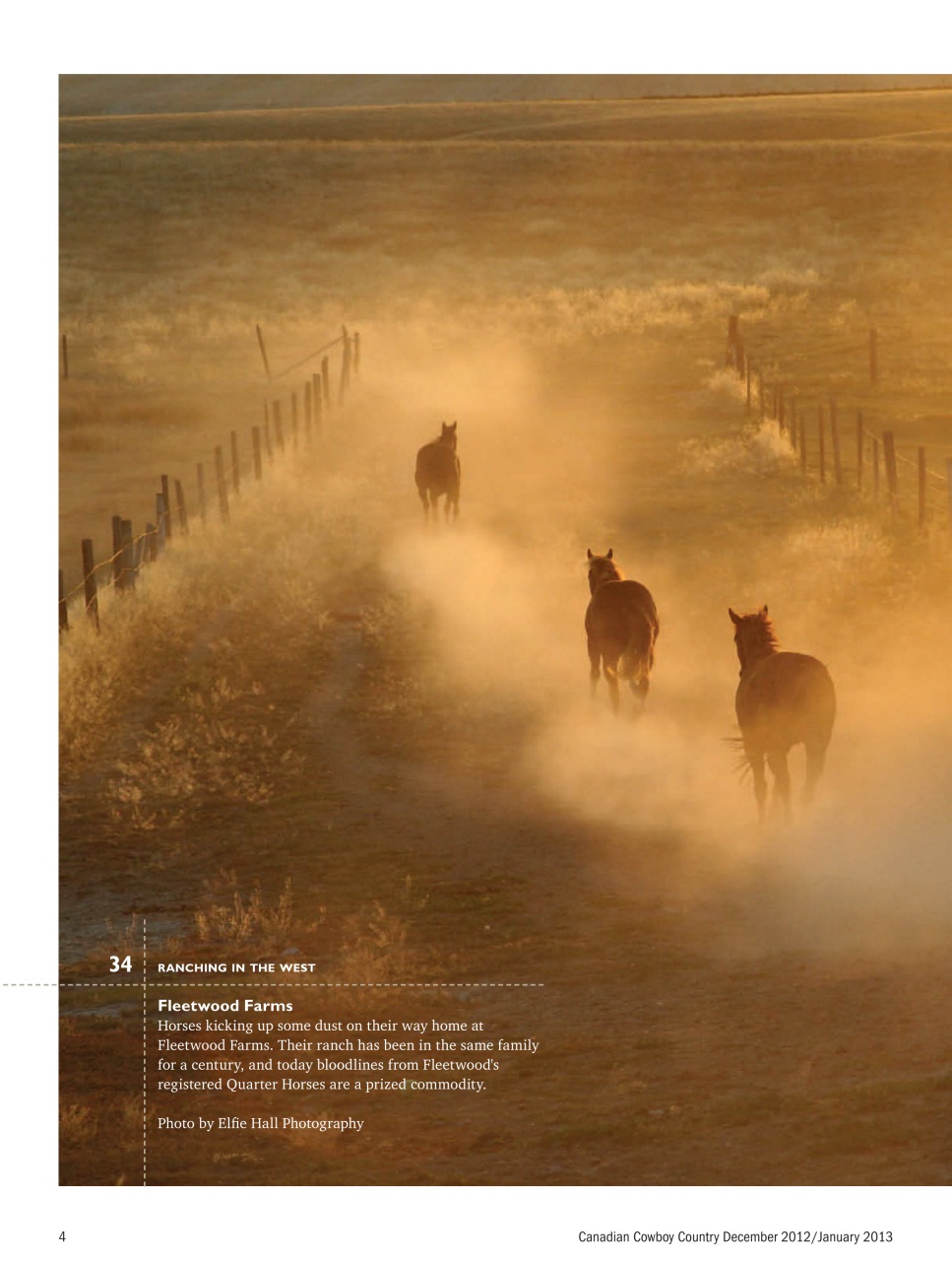 Canadian Cowboy Country Preview Pages