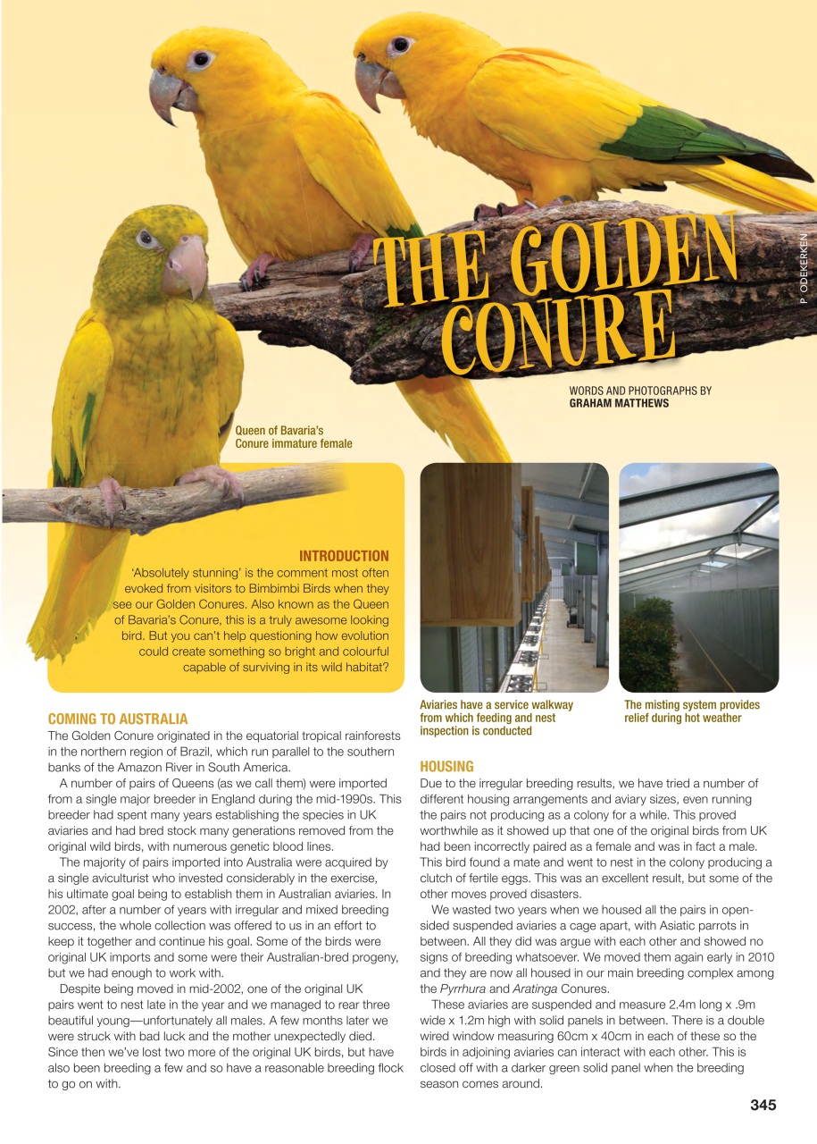 Australian Birdkeeper Magazine Preview Pages