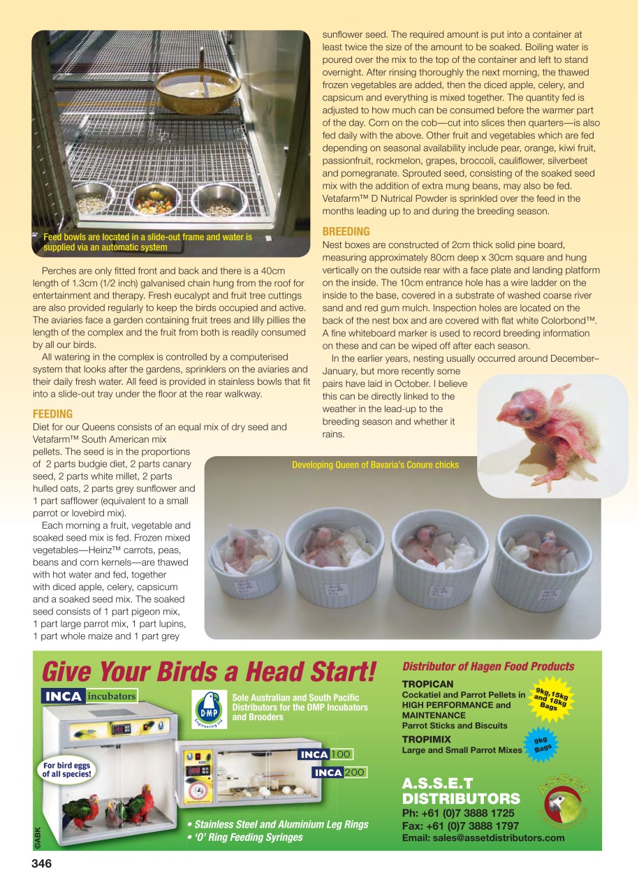 Australian Birdkeeper Magazine Preview Pages