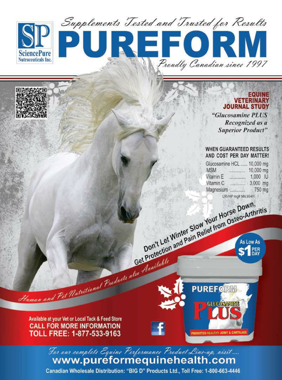 Western Horse Review Preview Pages