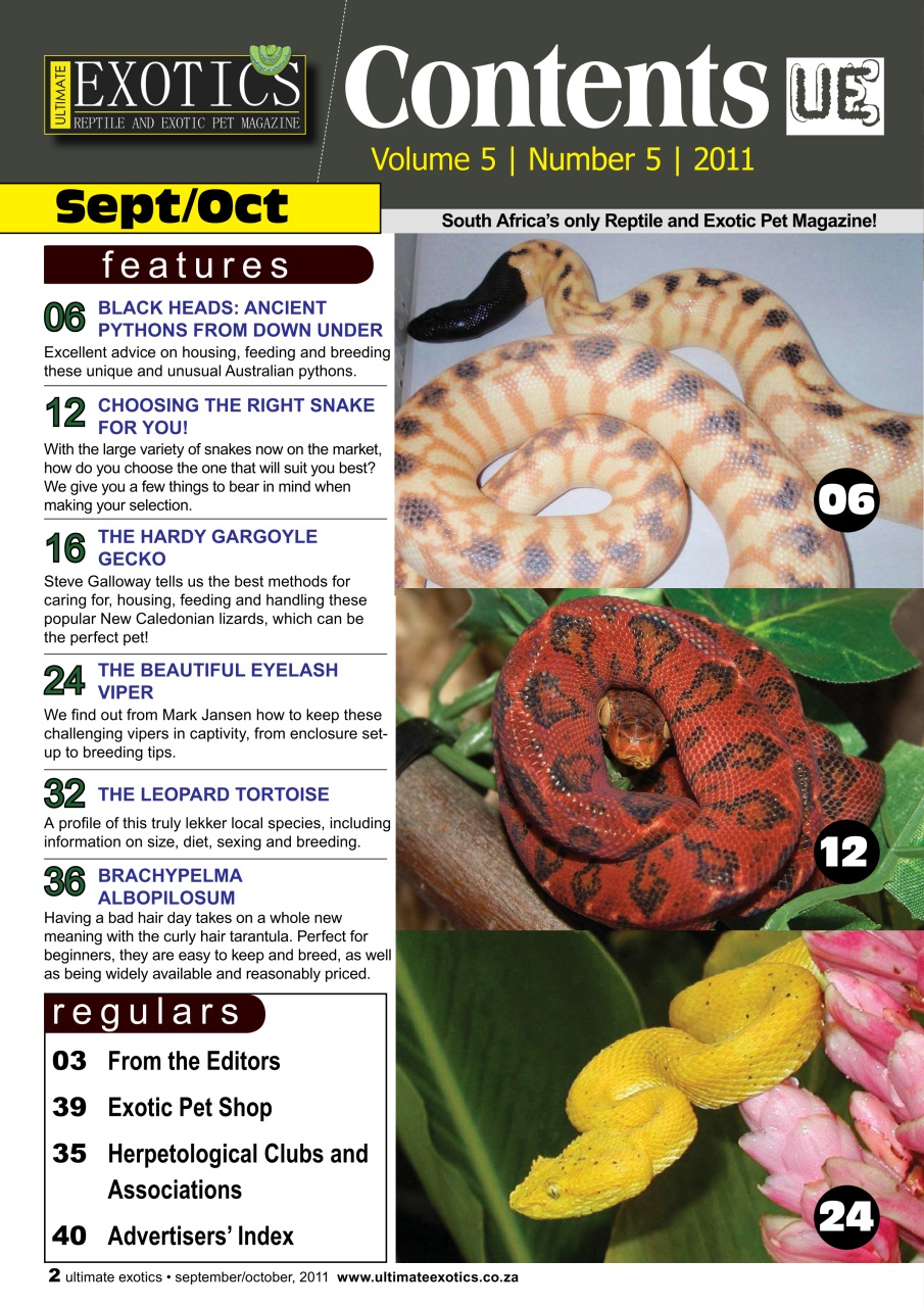 Ultimate Exotics Preview Pages