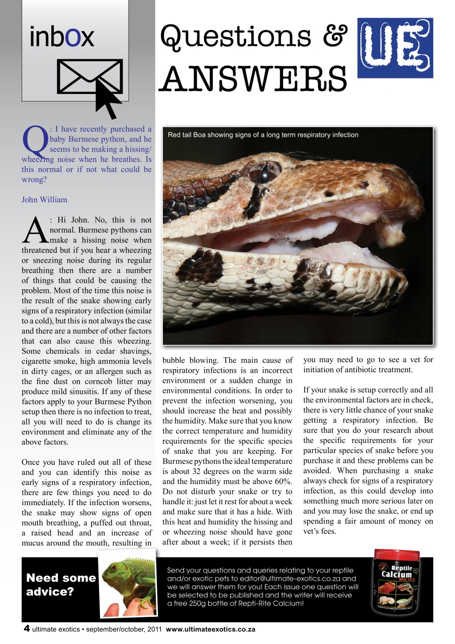 Ultimate Exotics Preview Pages