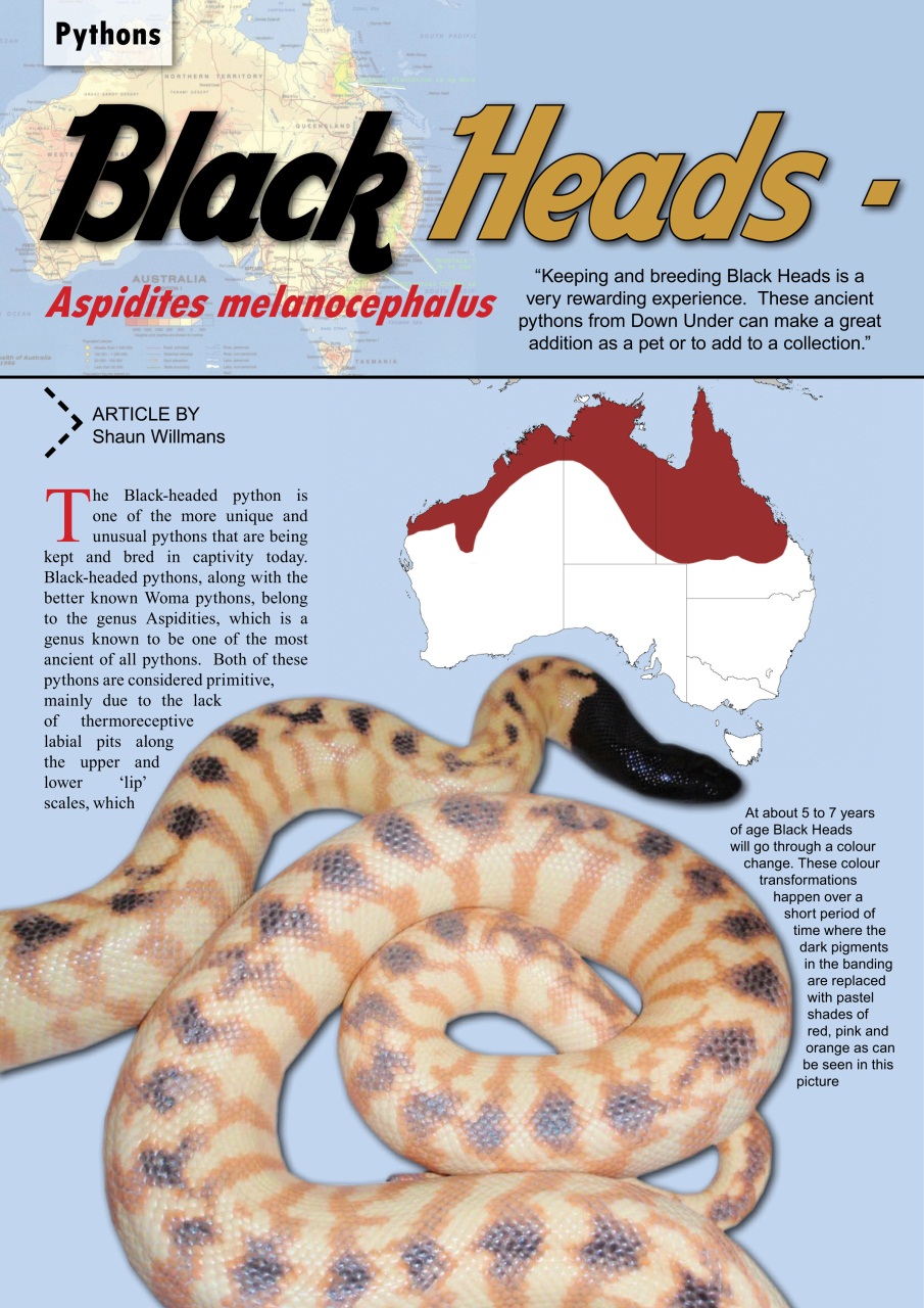 Ultimate Exotics Preview Pages