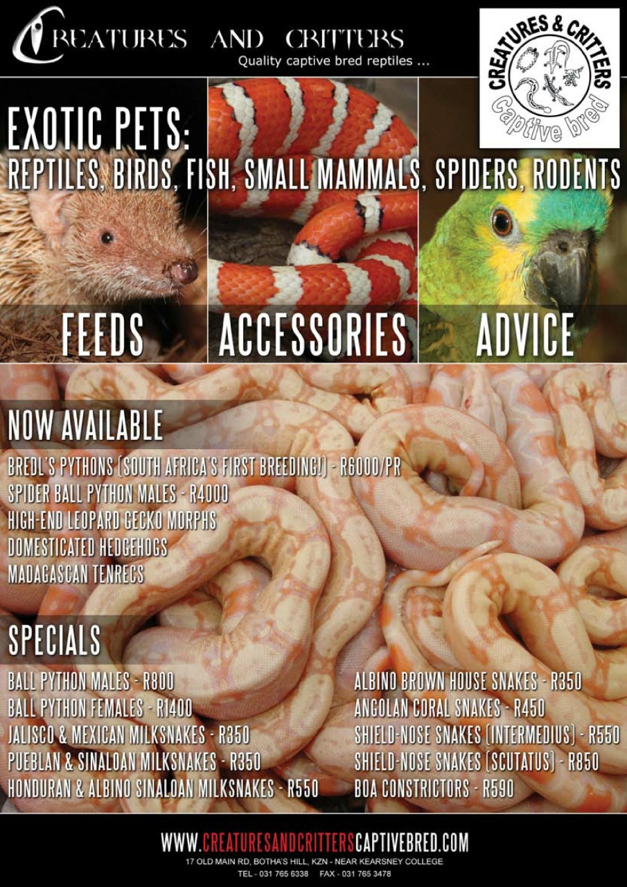 Ultimate Exotics Preview Pages