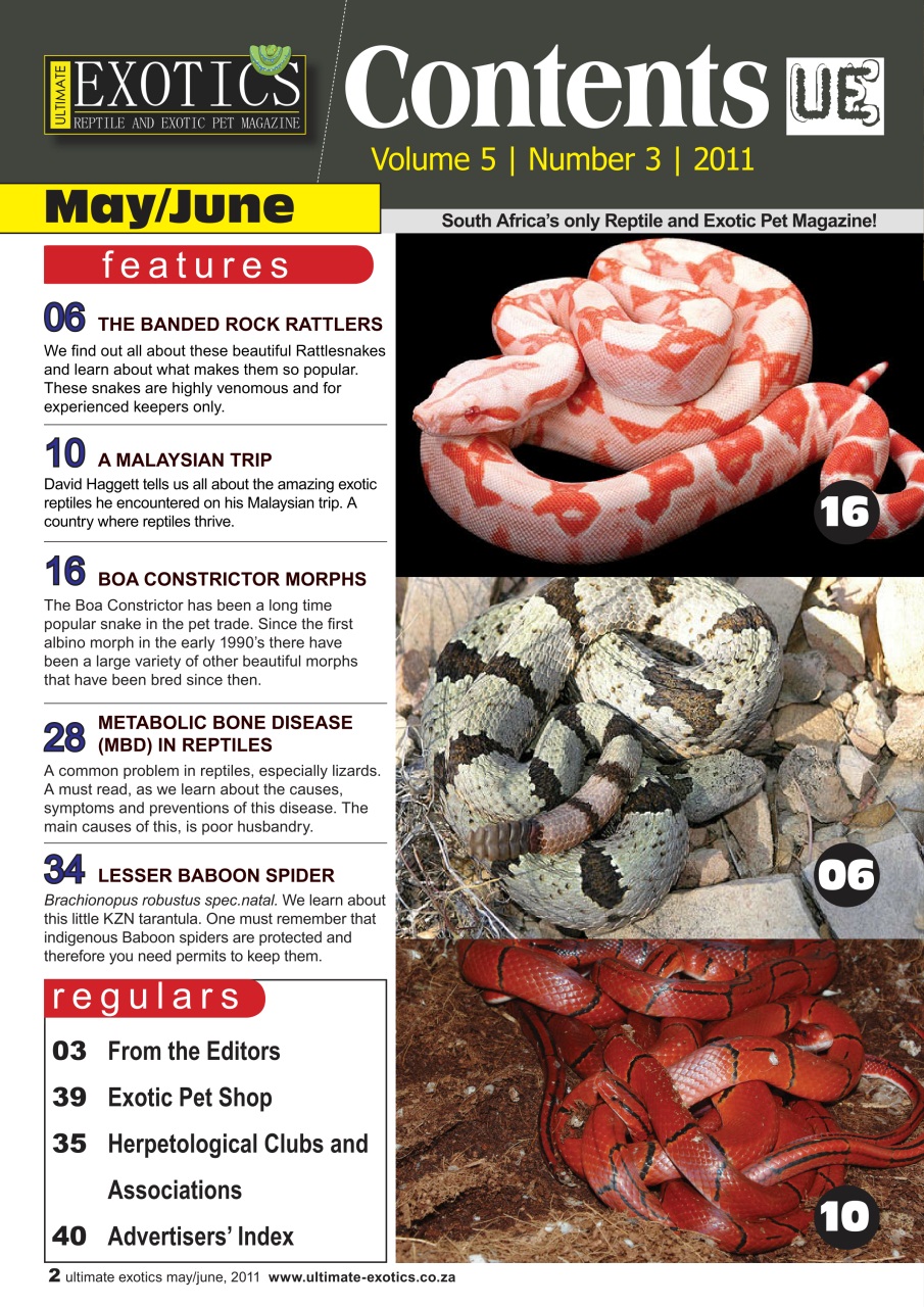 Ultimate Exotics Preview Pages