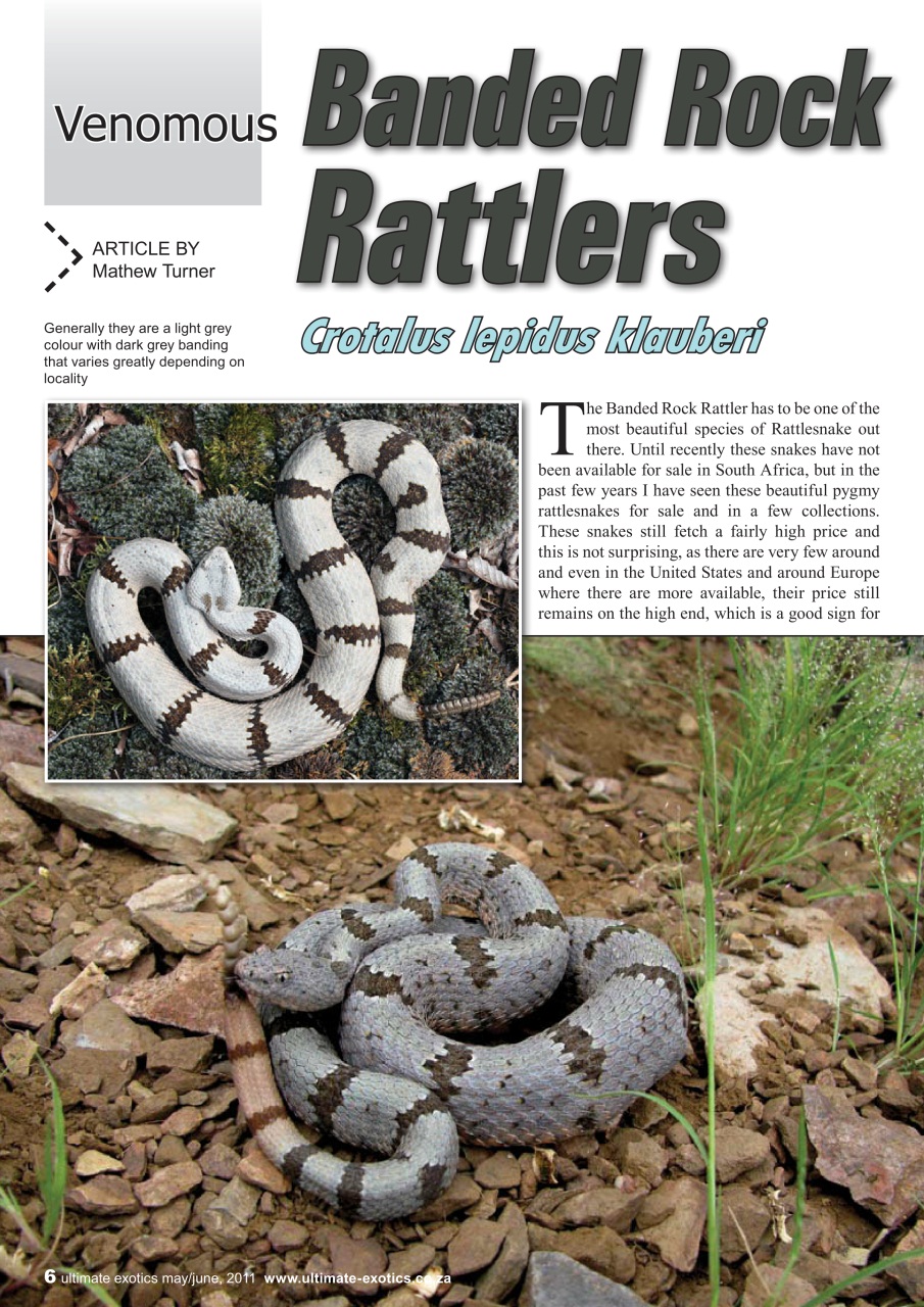 Ultimate Exotics Preview Pages