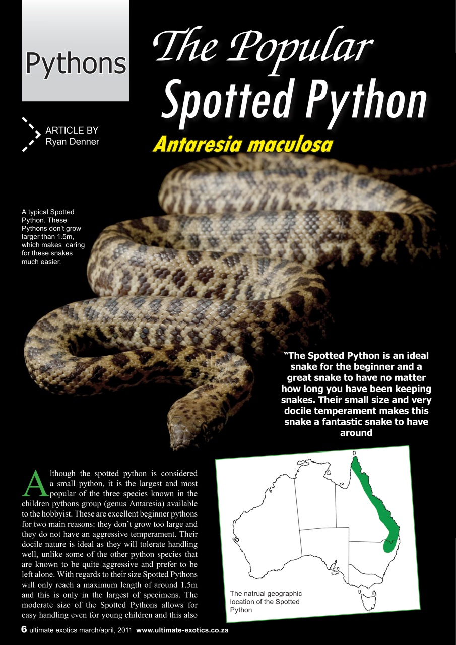 Ultimate Exotics Preview Pages