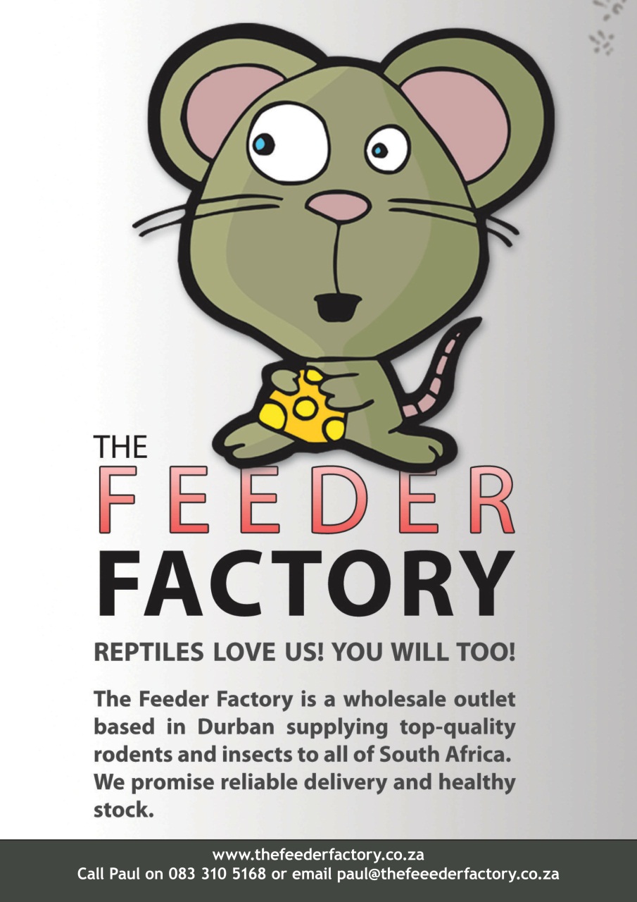 Ultimate Exotics Preview Pages