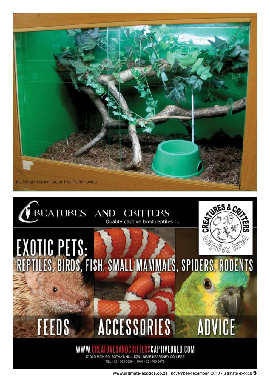 Ultimate Exotics Preview Pages