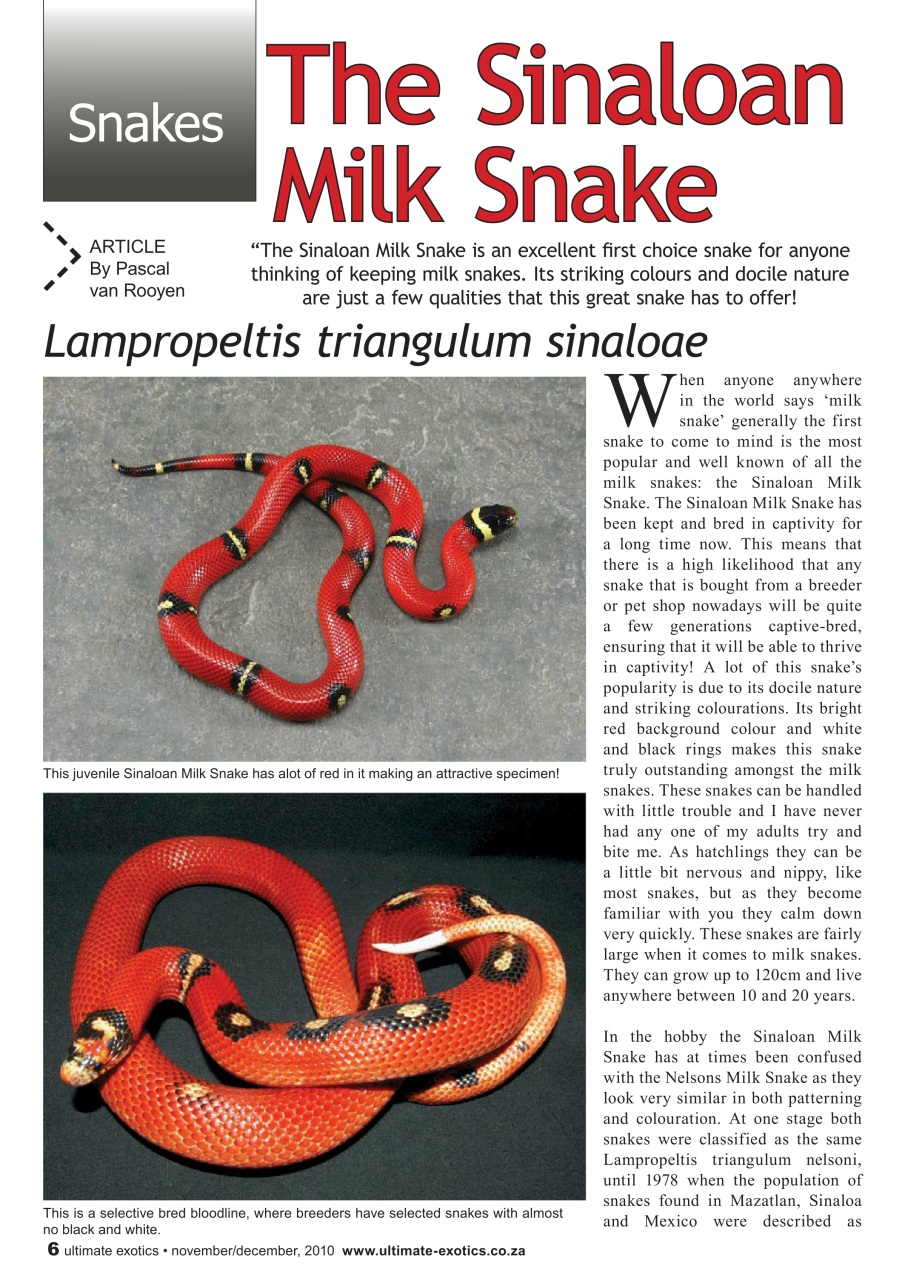 Ultimate Exotics Preview Pages