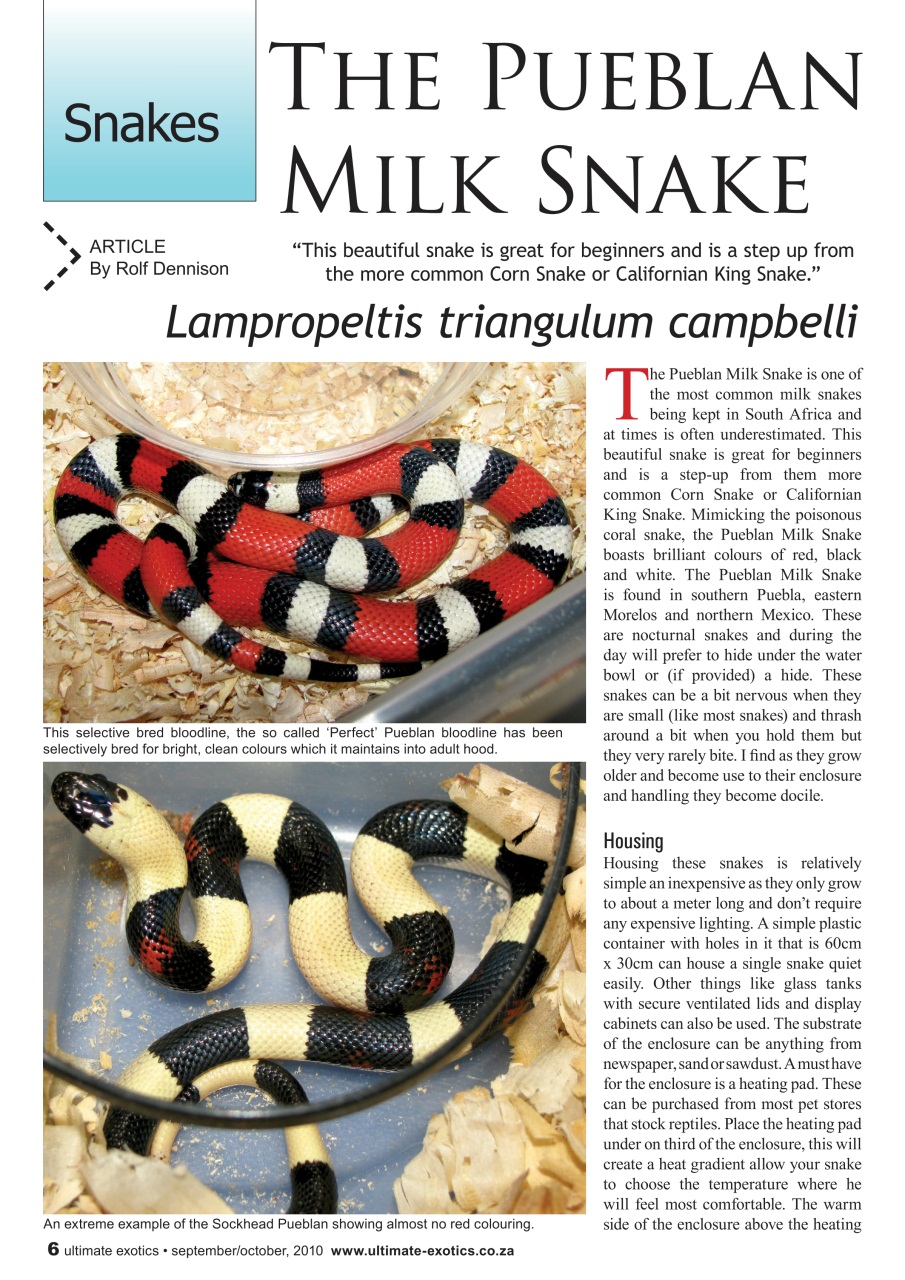 Ultimate Exotics Preview Pages