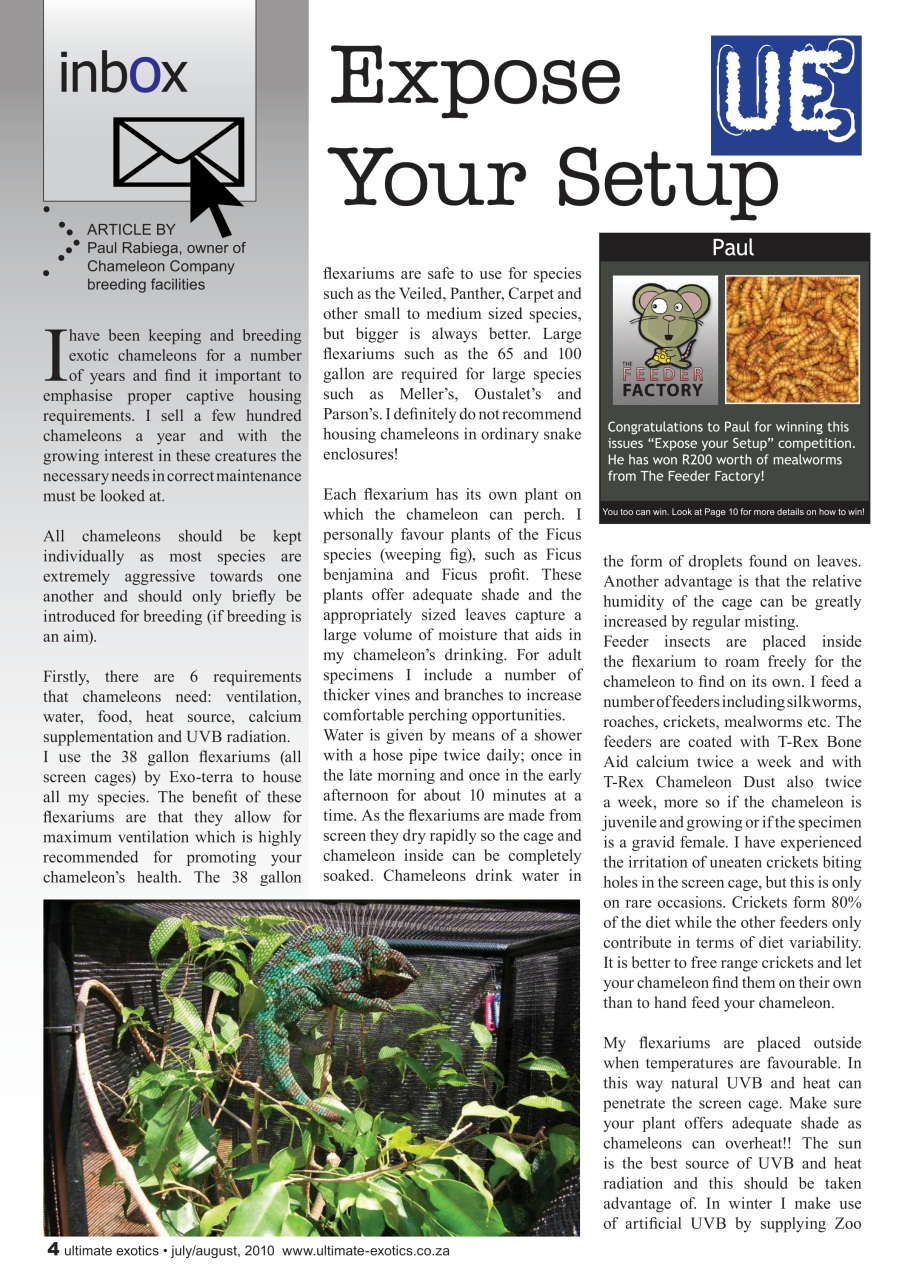 Ultimate Exotics Preview Pages