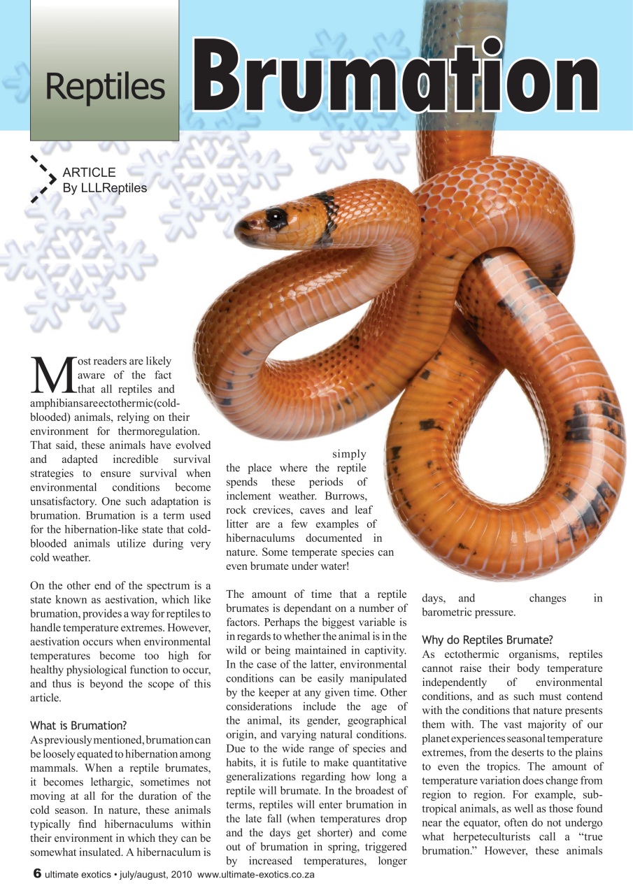 Ultimate Exotics Preview Pages