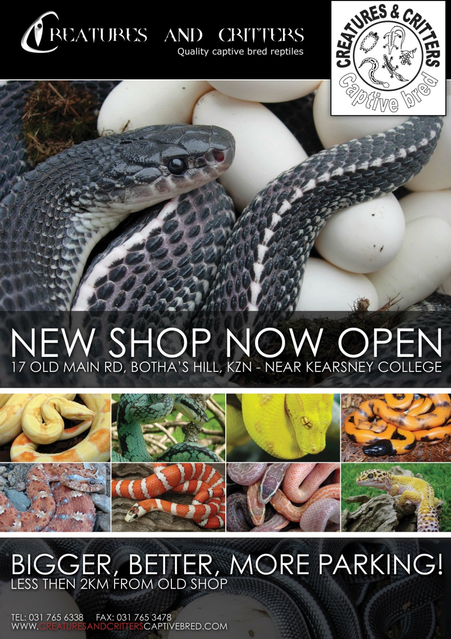 Ultimate Exotics Preview Pages