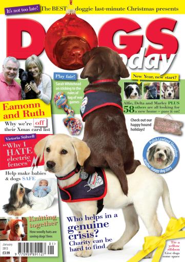 Dogs Today Magazine issue 