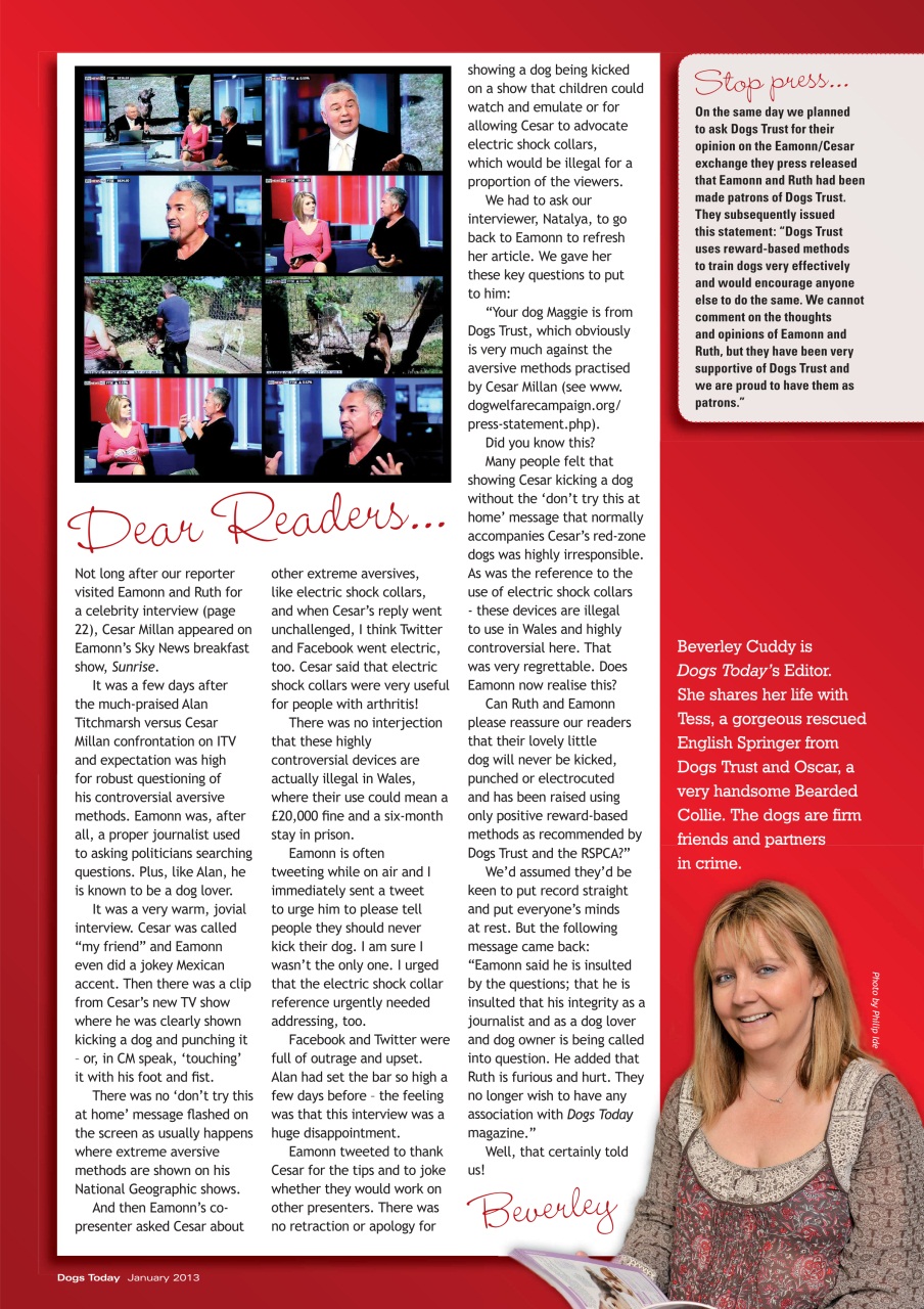 Dogs Today Magazine Preview Pages