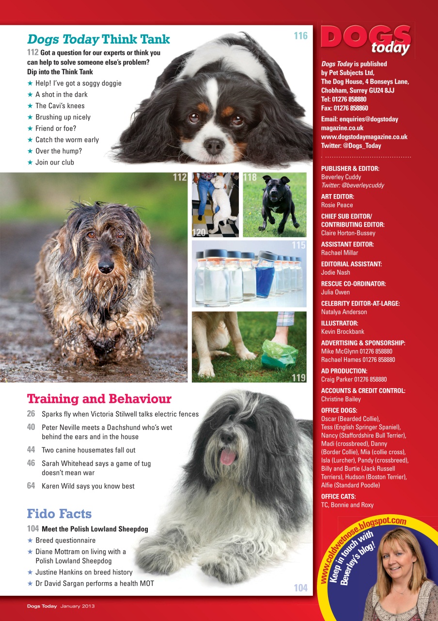 Dogs Today Magazine Preview Pages
