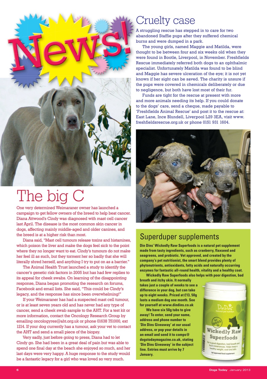 Dogs Today Magazine Preview Pages