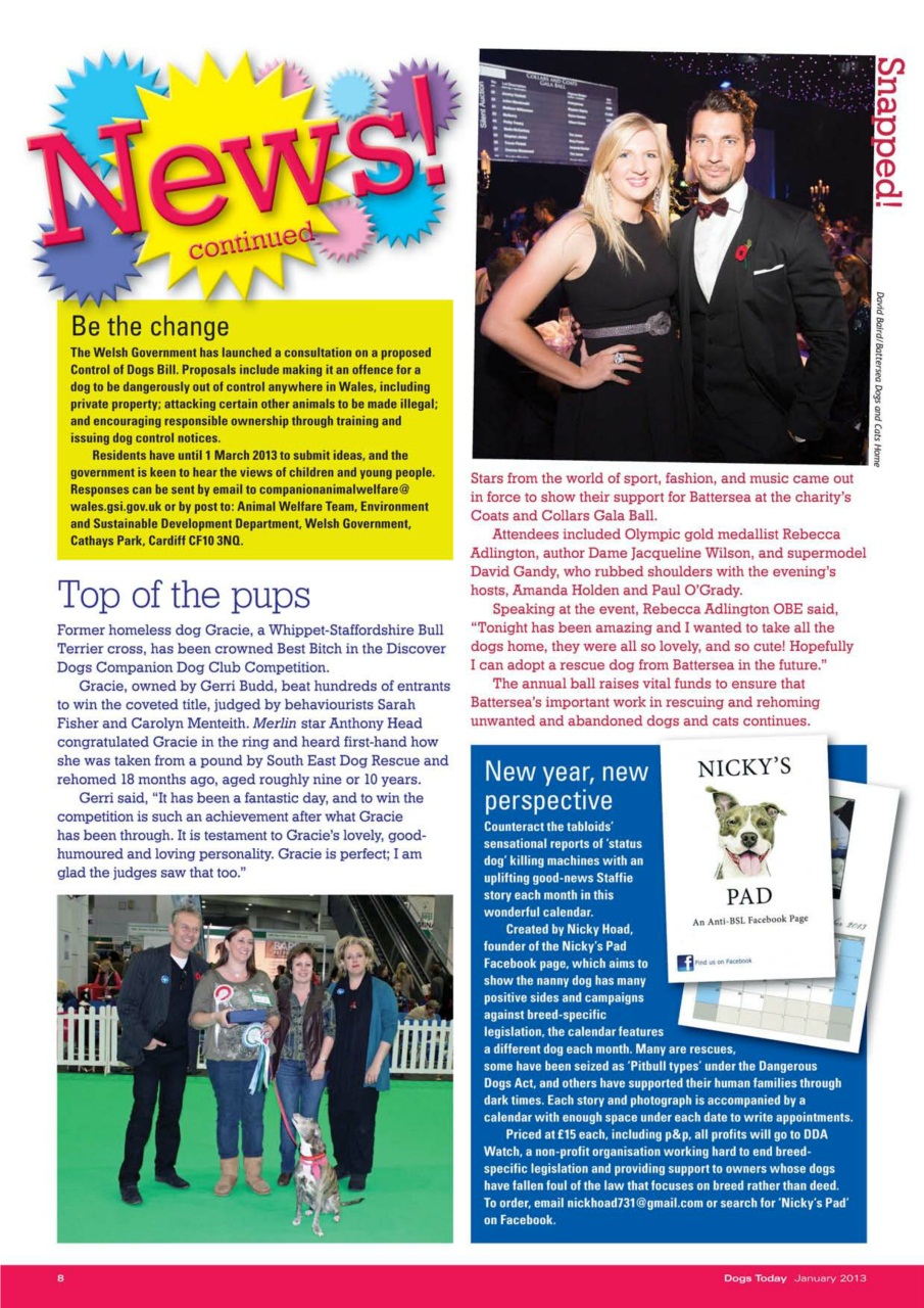 Dogs Today Magazine Preview Pages