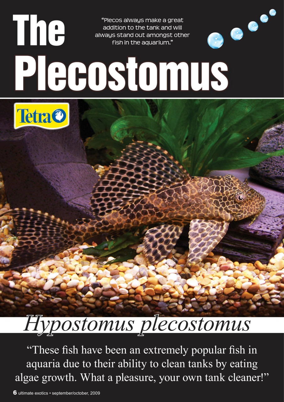 Ultimate Exotics Preview Pages